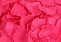 Petals - Wedding Flower Girls /Decor Silk Petal Various Colors