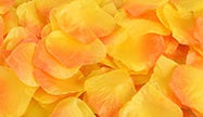 Petals - Wedding Flower Girls /Decor Silk Petal Various Colors