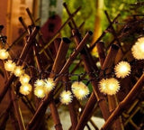 Wedding Deco - Dandelion Led String Lights